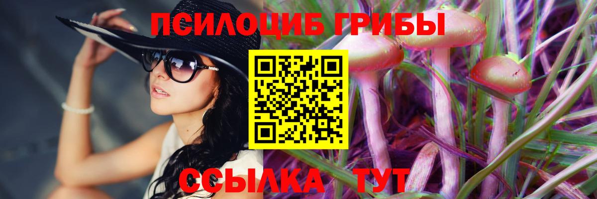 Галлюциногенные грибы MAGIC MUSHROOMS  Анжеро-Судженск  Псилоцибиновые грибы Psilocybe 